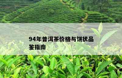 94年普洱茶价格与饼状品鉴指南