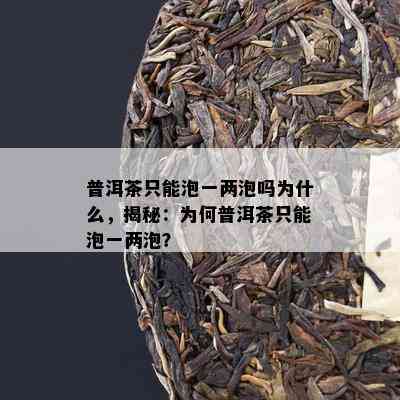 普洱茶只能泡一两泡吗为什么，揭秘：为何普洱茶只能泡一两泡？