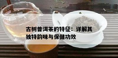 古树普洱茶的特征：详解其独特韵味与保健功效