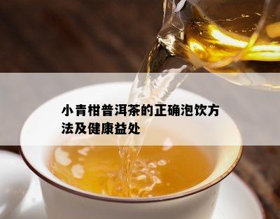 小青柑普洱茶的正确泡饮方法及健康益处