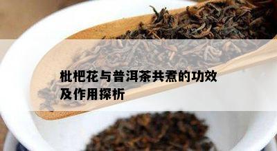 枇杷花与普洱茶共煮的功效及作用探析