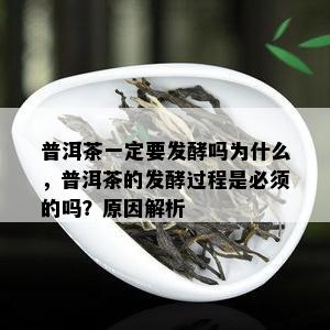 普洱茶一定要发酵吗为什么，普洱茶的发酵过程是必须的吗？起因解析