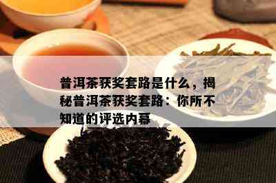 普洱茶获奖套路是什么，揭秘普洱茶获奖套路：你所不知道的评选内幕