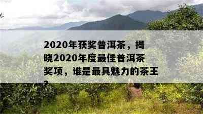 2020年获奖普洱茶，揭晓2020年度更佳普洱茶奖项，谁是更具魅力的茶王？