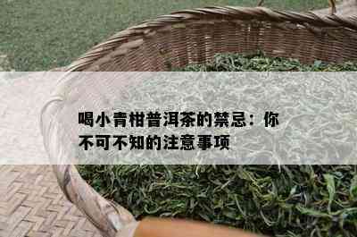 喝小青柑普洱茶的禁忌：你不可不知的留意事项