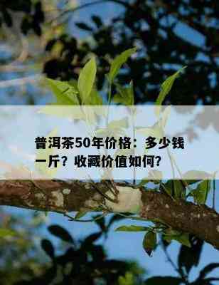 普洱茶50年价格：多少钱一斤？收藏价值怎样？