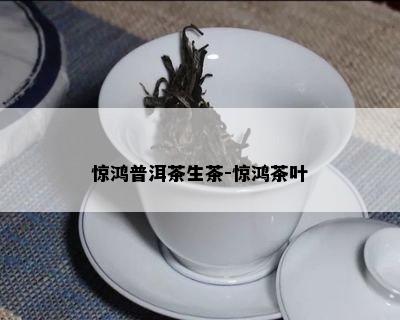 惊鸿普洱茶生茶-惊鸿茶叶