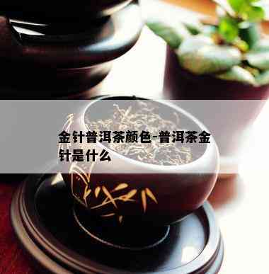 金针普洱茶颜色-普洱茶金针是什么