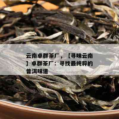 云南卓群茶厂，【寻味云南】卓群茶厂：寻找最纯粹的普洱味道