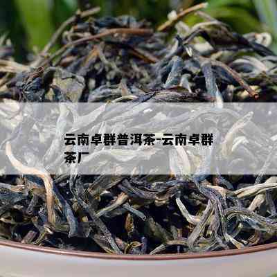 云南卓群普洱茶-云南卓群茶厂