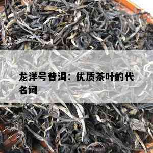 龙洋号普洱：优质茶叶的代名词