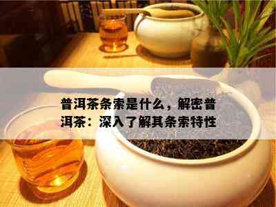 普洱茶条索是什么，解密普洱茶：深入了解其条索特性