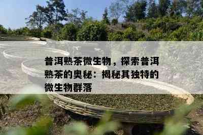 普洱熟茶微生物，探索普洱熟茶的奥秘：揭秘其特别的微生物群落