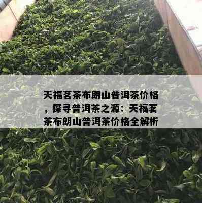 天福茗茶布朗山普洱茶价格，探寻普洱茶之源：天福茗茶布朗山普洱茶价格全解析