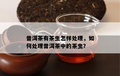 普洱茶有茶虫怎样处理，如何处理普洱茶中的茶虫？