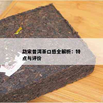 勐宋普洱茶口感全解析：特点与评价