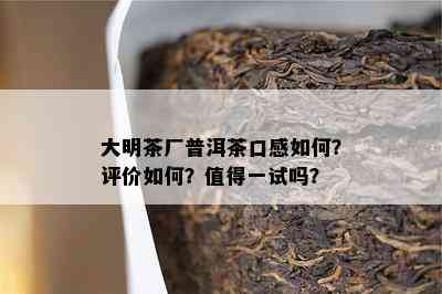 大明茶厂普洱茶口感怎样？评价怎样？值得一试吗？