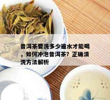 普洱茶要洗多少遍水才能喝，如何冲泡普洱茶？正确清洗方法解析