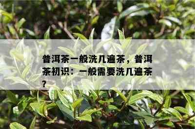 普洱茶一般洗几遍茶，普洱茶初识：一般需要洗几遍茶？