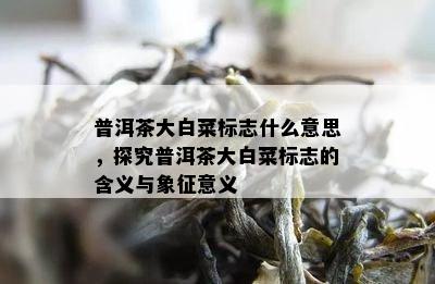 普洱茶大白菜标志什么意思，探究普洱茶大白菜标志的含义与象征意义