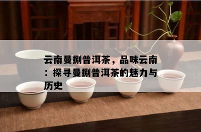 云南曼捌普洱茶，品味云南：探寻曼捌普洱茶的魅力与历史