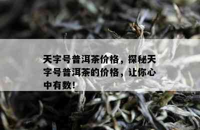 天字号普洱茶价格，探秘天字号普洱茶的价格，让你心中有数！