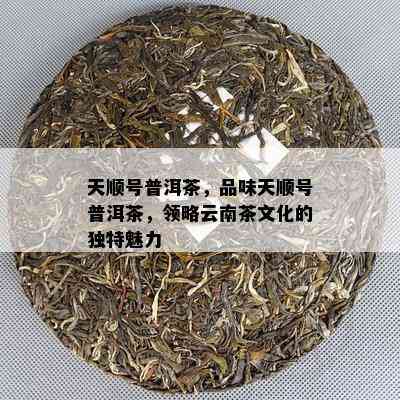 天顺号普洱茶，品味天顺号普洱茶，领略云南茶文化的特别魅力