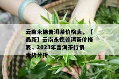 云南永德普洱茶价格表，【最新】云南永德普洱茶价格表，2023年普洱茶行情走势分析