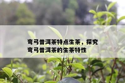 弯弓普洱茶特点生茶，探究弯弓普洱茶的生茶特性