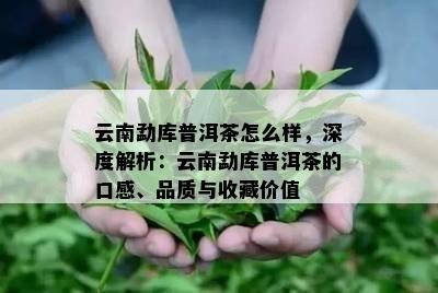 云南勐库普洱茶怎么样，深度解析：云南勐库普洱茶的口感、品质与收藏价值