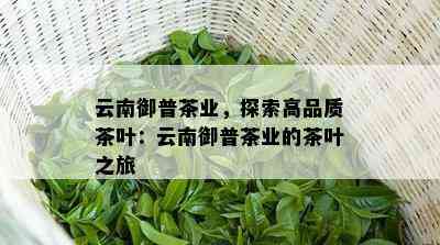 云南御普茶业，探索高品质茶叶：云南御普茶业的茶叶之旅