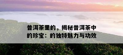 普洱茶里的，揭秘普洱茶中的珍宝：的独特魅力与功效