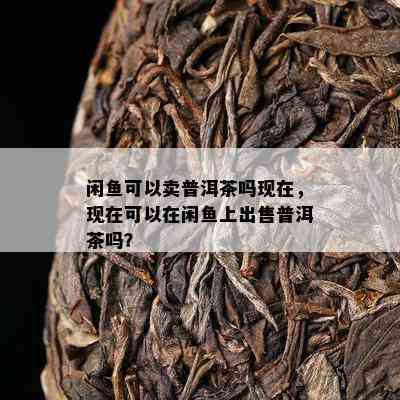 闲可以卖普洱茶吗现在，现在可以在闲上出售普洱茶吗？