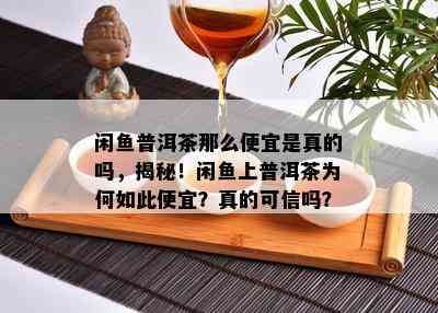 闲普洱茶那么便宜是真的吗，揭秘！闲上普洱茶为何如此便宜？真的可信吗？