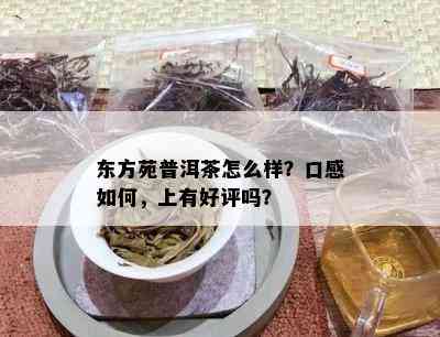 东方苑普洱茶怎么样？口感怎样，上有好评吗？