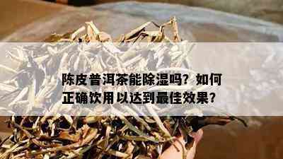 陈皮普洱茶能除湿吗？如何正确饮用以达到更佳效果？