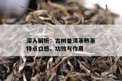 深入解析：古树普洱茶熟茶特点口感、功效与作用