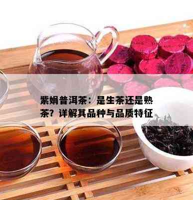 紫娟普洱茶：是生茶还是熟茶？详解其品种与品质特征