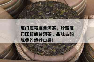 厦门压箱底普洱茶，珍藏厦门压箱底普洱茶，品味古韵陈香的绝妙口感！