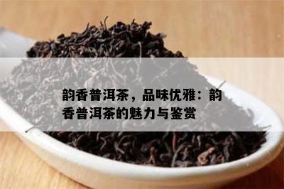 韵香普洱茶，品味优雅：韵香普洱茶的魅力与鉴赏