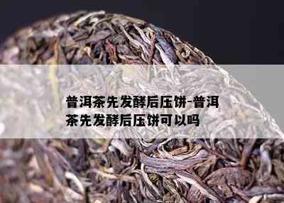 普洱茶先发酵后压饼-普洱茶先发酵后压饼可以吗