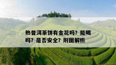 熟普洱茶饼有金花吗？能喝吗？是不是安全？附图解析