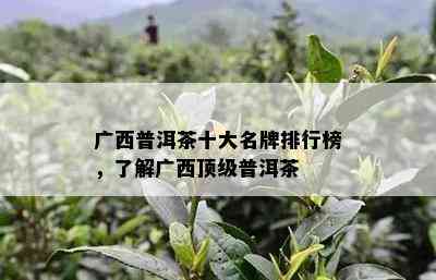 广西普洱茶十大名牌排行榜，熟悉广西顶级普洱茶