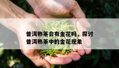 普洱熟茶会有金花吗，探讨普洱熟茶中的金花现象