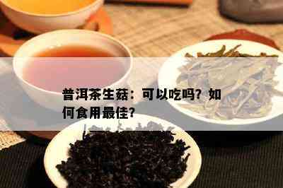 普洱茶生菇：可以吃吗？怎样食用更佳？