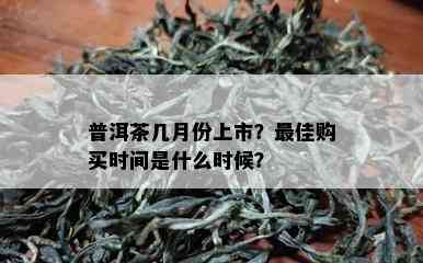 普洱茶几月份上市？更佳购买时间是什么时候？