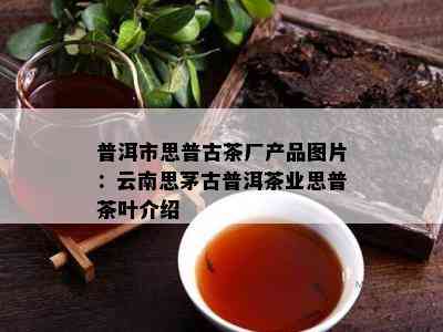 普洱市思普古茶厂产品图片：云南思茅古普洱茶业思普茶叶介绍