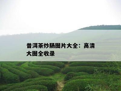 普洱茶炒肠图片大全：高清大图全收录