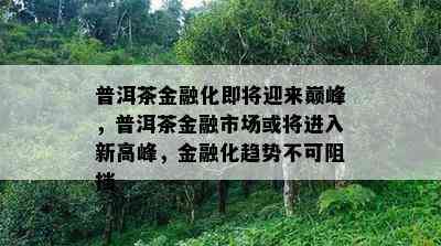 普洱茶金融化即将迎来巅峰，普洱茶金融市场或将进入新高峰，金融化趋势不可阻挡