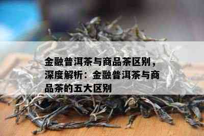 金融普洱茶与商品茶区别，深度解析：金融普洱茶与商品茶的五大区别